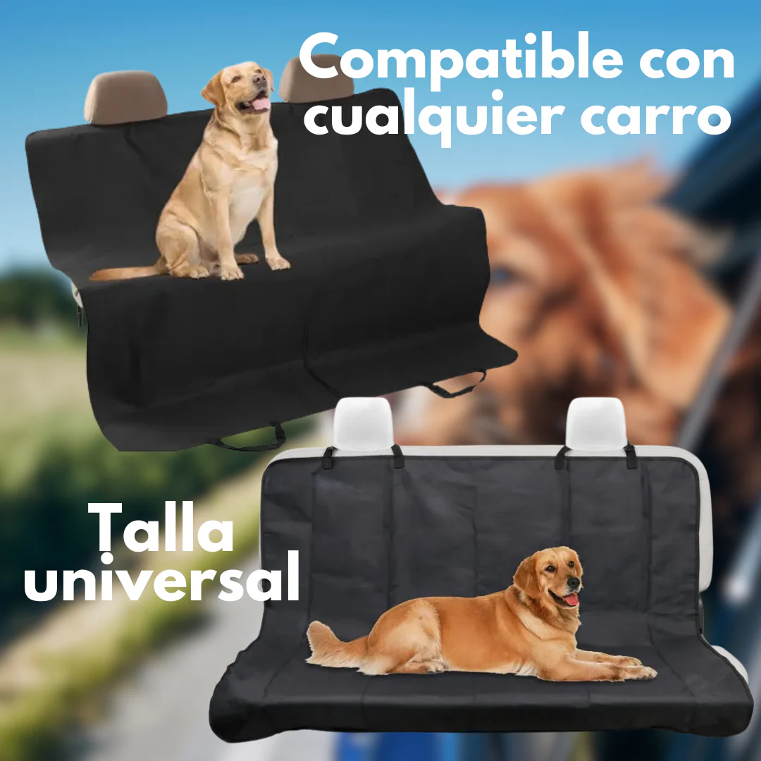 Imagen del producto 2