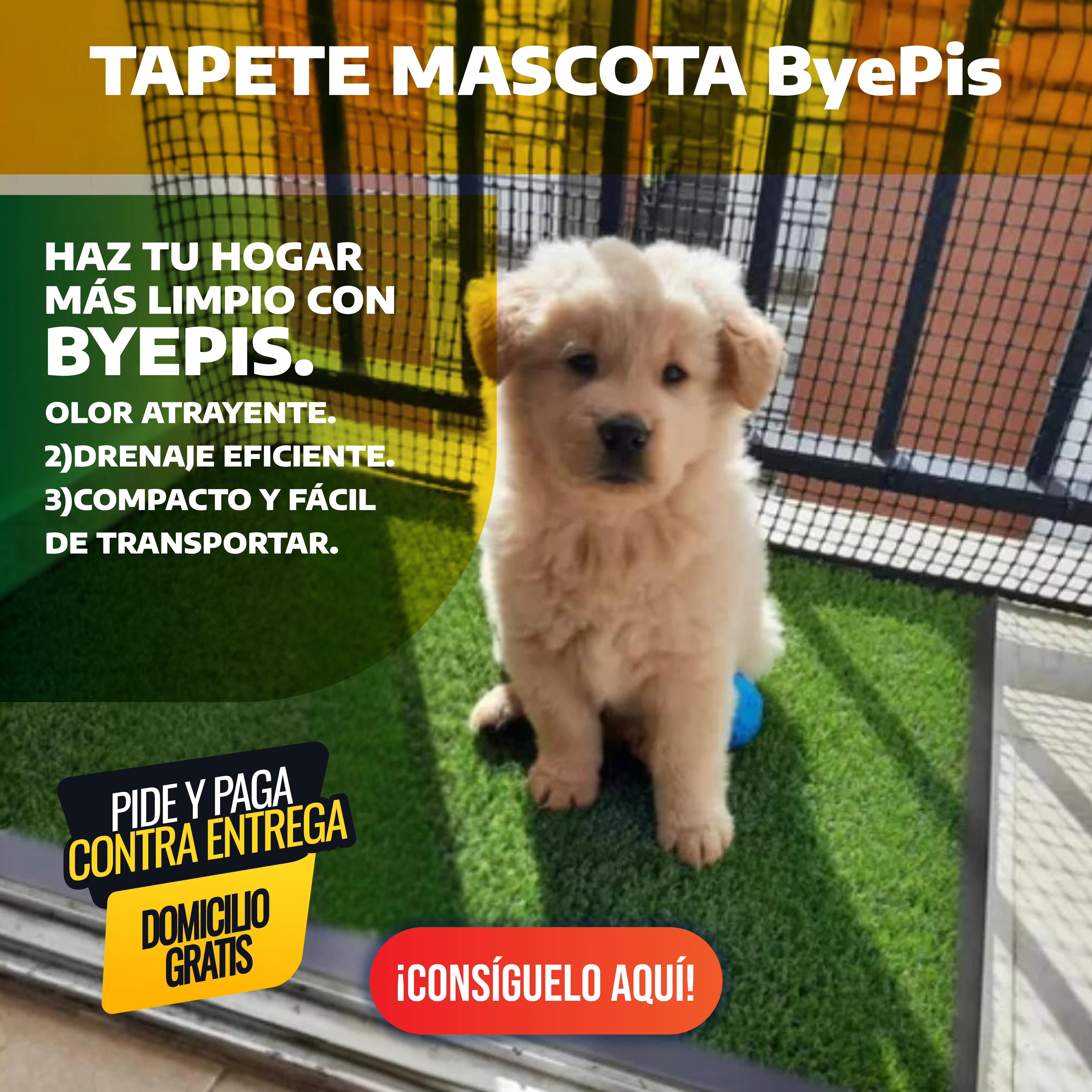 Imagen del producto 1